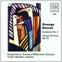 Symphony concert - symphony, /